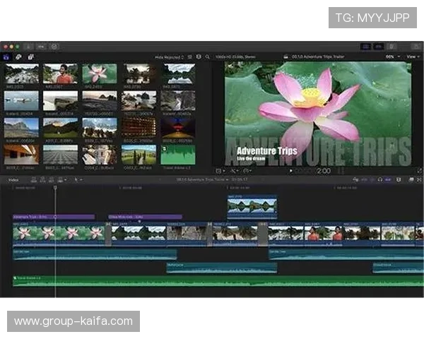 K8手机登录全站登录优化用户登录流程，提升访问速度与安全性