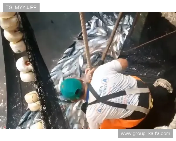 如何在K8捕鱼网中快速升级装备提升捕鱼效率的实用技巧