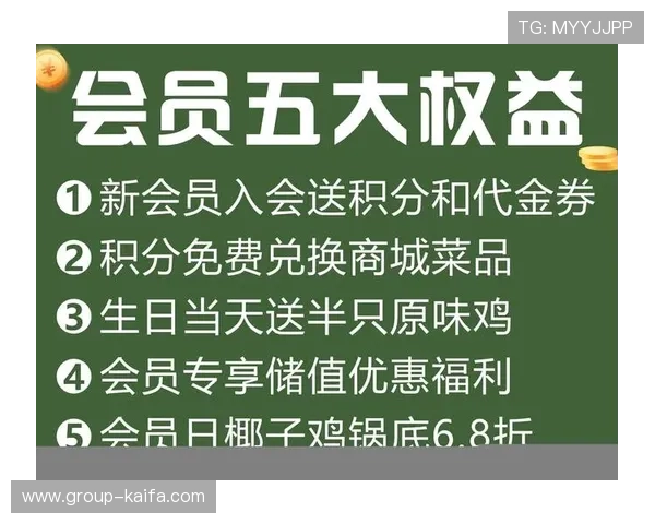 凯发官网平台VIP会员制度与专属福利详细解析
