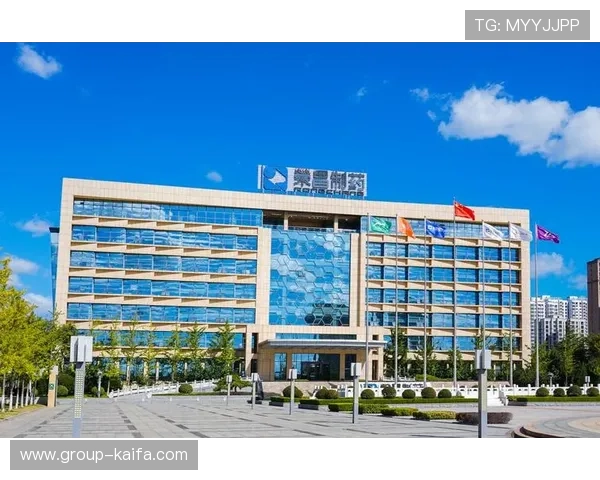 天生凯发官网安全保障措施，确保玩家账号信息与资金安全无忧